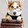 Rjbookworm