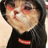KoolKat