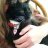 Kittytat
