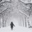 snow47