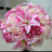 Rose&lillies