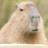 TheCapybara