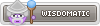 Wisdomatic
